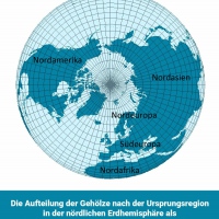 Die Anordnung der Bäume im Park entspricht in etwa ihrer der Verbreitung in der nördlichen Hemisphere.(Plan: KuBus)